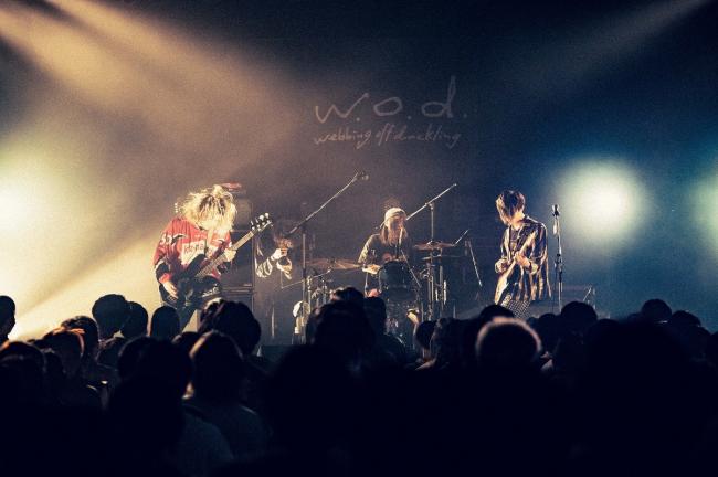 w.o.d. 撮影=小杉歩