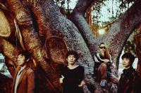 (LiveFans)