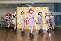 (LiveFans)