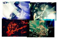 (LiveFans)
