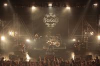(LiveFans)