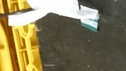てつお