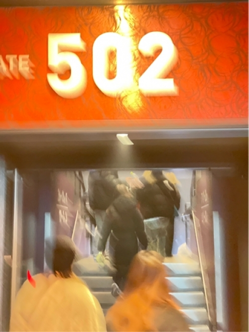 ライトルナ