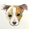 まっくすくん
