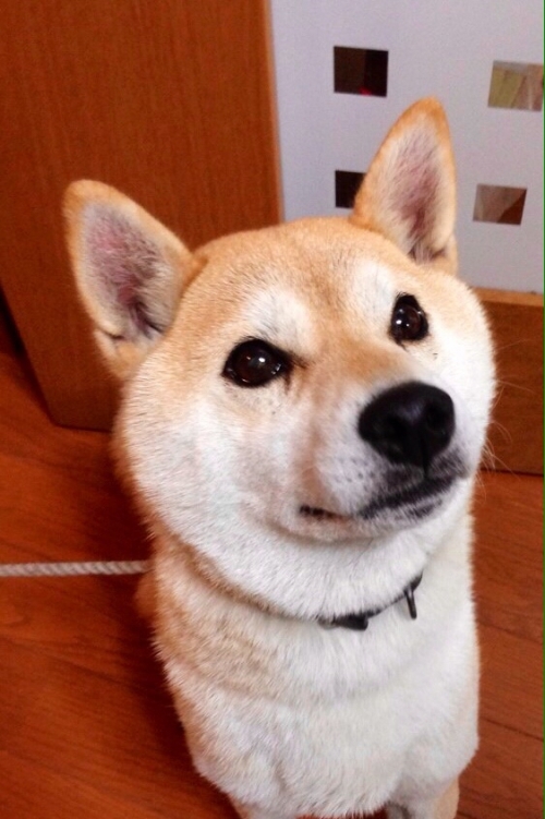 御手洗