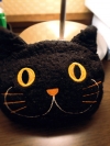 カツラ