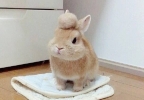 なにハロー