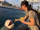 海のゆーき