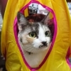 よし716