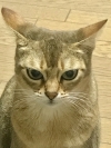 みゅうたろう♀