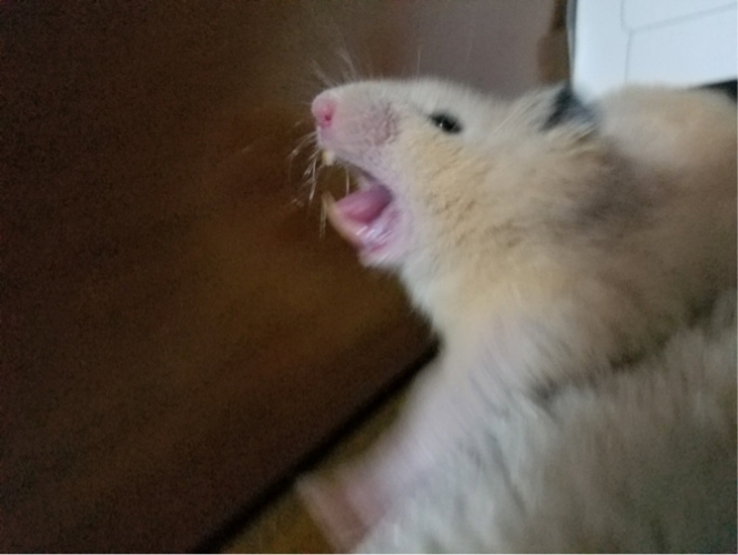 なむ