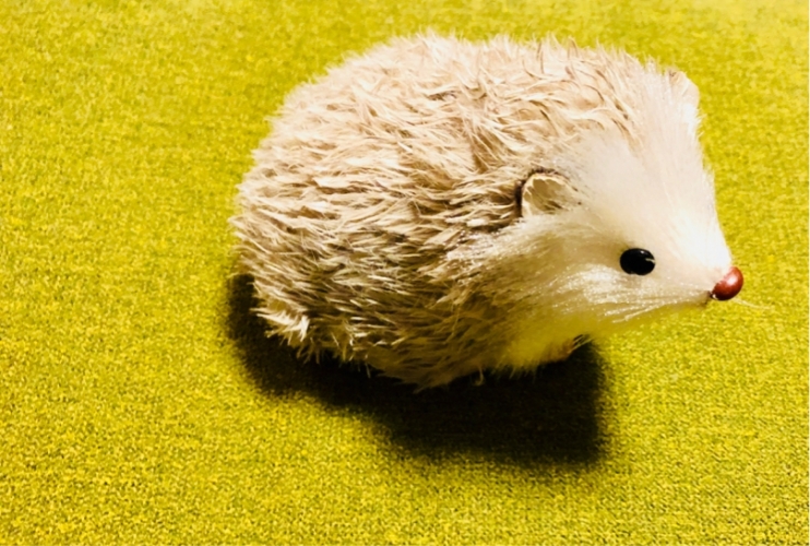 アザナ