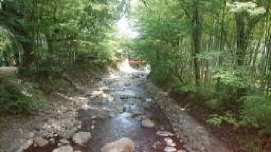 えり