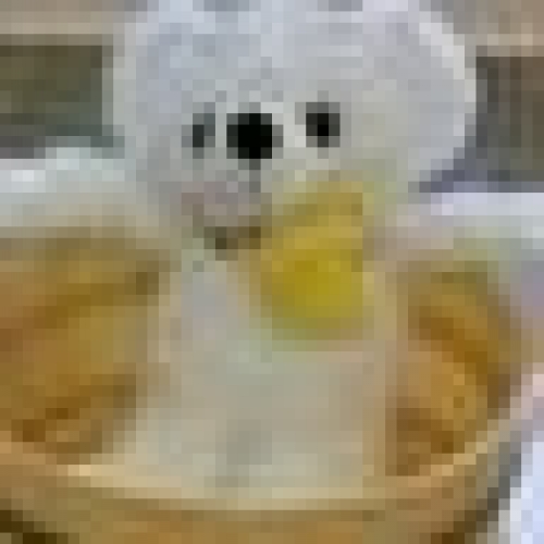 温泉くま