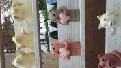 まおみぃ