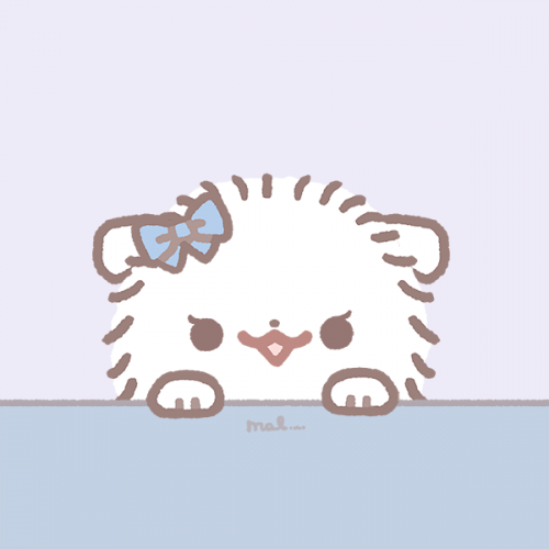 ❤︎