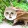 ミ･∀･　彡