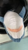 さめ