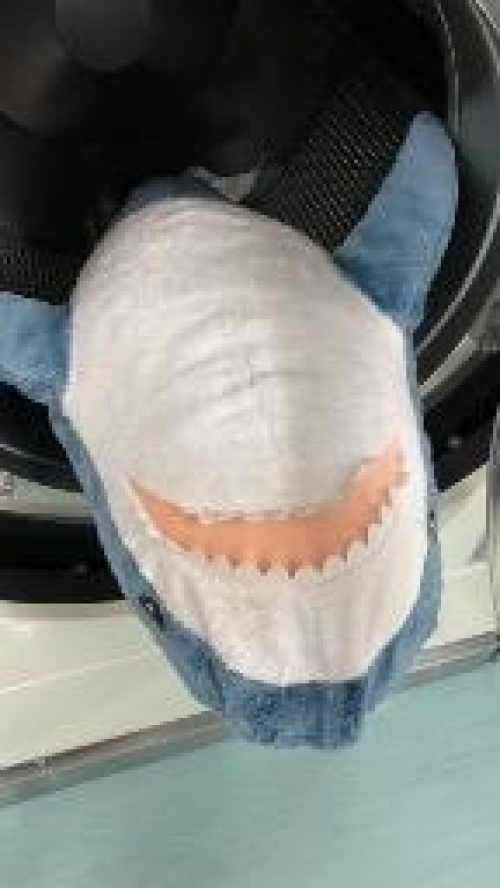 さめ