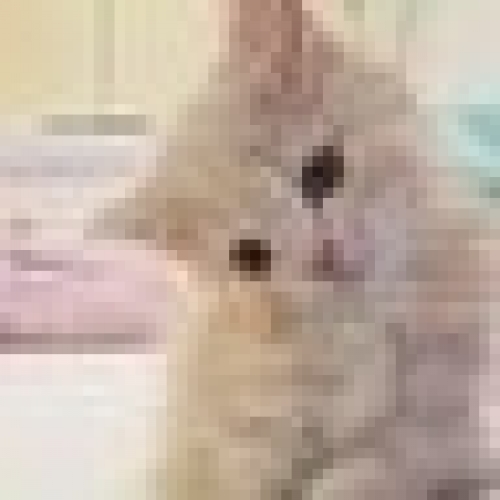 てん