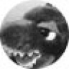 ゴジ Gozi 