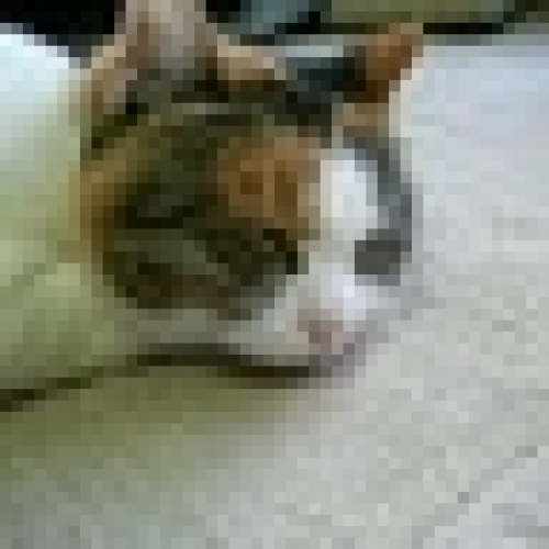 牧瀬’21 (おねいちゃん)