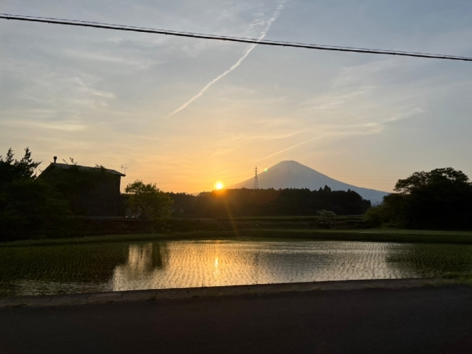 トムとジェリー好き