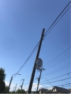 かれいど