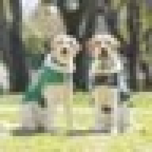 。。。
