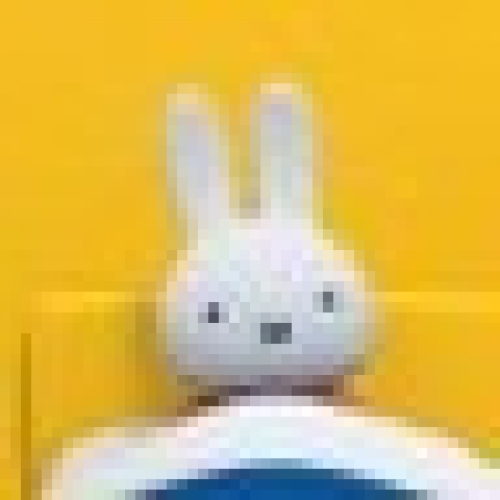 リカ