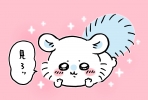 かほち
