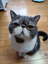 ルイママ