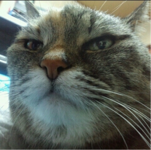 coda