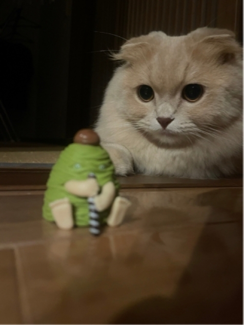 ぶっきー