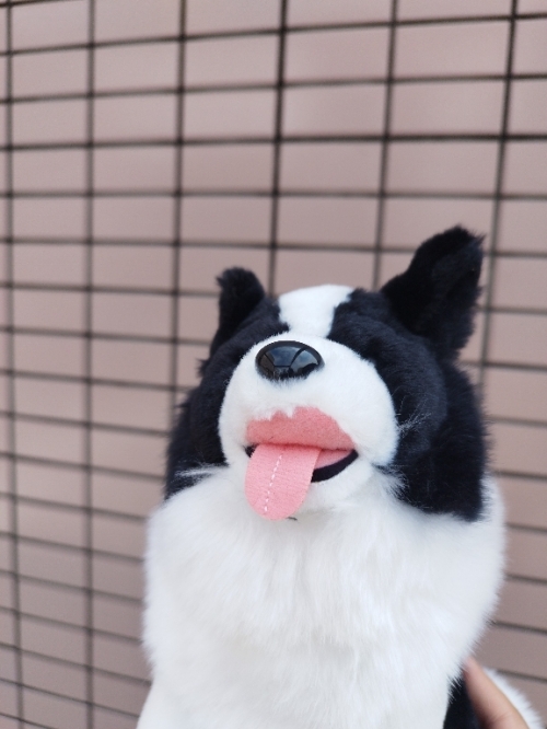 あり