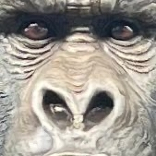 とり 9/28 coldrain 大阪