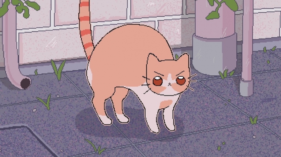 ちらコイド