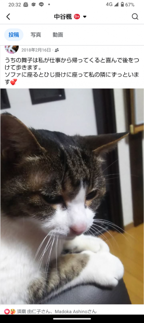 中谷楓