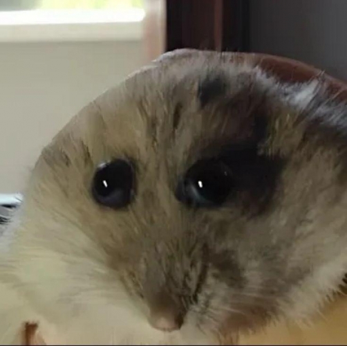 ゆふてぃ