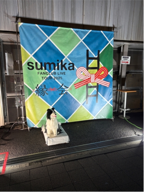 りゅう